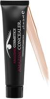 Thumbnail for your product : Amazing Cosmetics Amazing Concealer