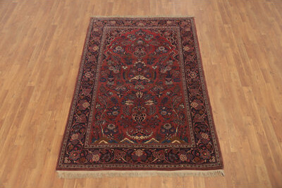 Isabelline Vegetable Dye Masterpiece Oriental Rug 4x7