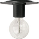 Hashtag Home Roswell 1 Light Flush Mount