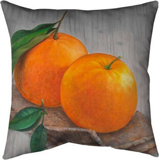 Begin Edition International Inc. Two Oranges Indoor / Outdoor Square Throw Pillow Cover