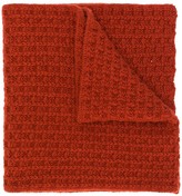 Thumbnail for your product : Holland & Holland Knitted Scarf