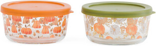 TJMAXX 2Pk 16Oz Autumn Round Food Storage Set