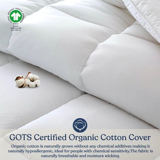 Delara Down Alternative 350GSM Duvet Insert GOTS Certified 300TC Organic  Cotton Cover - ShopStyle