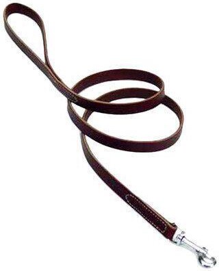 COASTAL PET PRODUCTS Coastal Pet Latigo Leather Dog Leash Size: 1' W x 72' L
