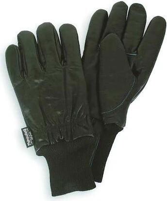 Condor 4TJW5 Cold Protection Gloves, Grain Cowhide Leather Palm, Thinsulate