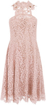 Thumbnail for your product : Coast Lulla Lace Dress.