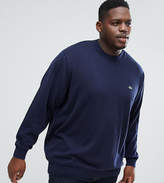 Thumbnail for your product : Lacoste Big crew neck sweater in navy