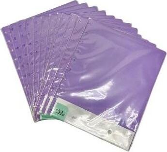 Mintra TaliaPlasticDiscboundDiscsandCovers.(Lavender12pk(nodiscs),MidsizeSet)