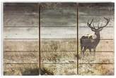 Thumbnail for your product : Graham & Brown Highland Stag Print On Fir Wood