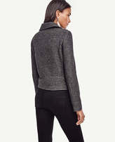 Thumbnail for your product : Ann Taylor Notched Wool Blend Moto Jacket