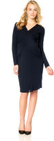Thumbnail for your product : A Pea in the Pod Bailey 44 Long Sleeve Maternity Shirt Dress