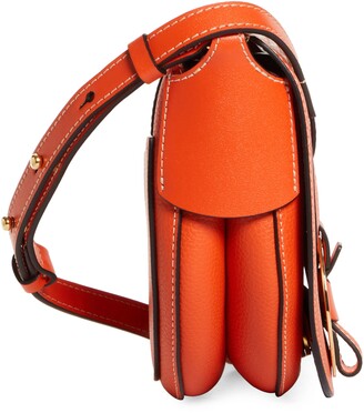 Chloé Darryl Leather Crossbody Saddle Bag