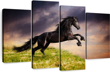 Ebern Designs Brampt Friesian Horse On A Cliff