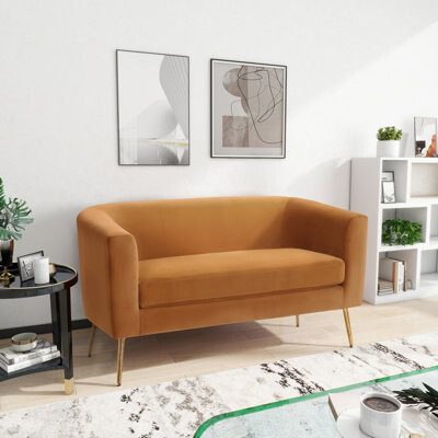 Latitude Run Loveseat