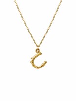 Thumbnail for your product : Alex Monroe 18kt yellow gold Teeny Tiny Horseshoe necklace