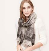 Thumbnail for your product : LOFT Plaid Scarf