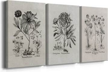 One Allium Way Vintage Floral Print CCCXXV -Custom Wrapped Gallery Canvas - 3 Pieces