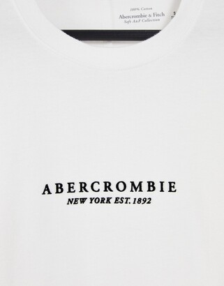 Abercrombie & Fitch short sleeve logo t shirt in white