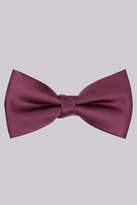 Thumbnail for your product : Moss Bros Plum Bow Tie