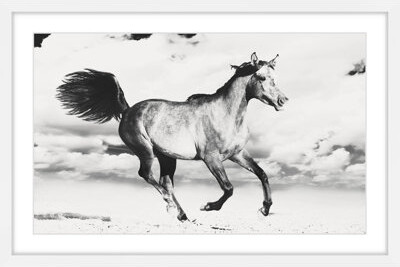Marmont Hill Horse Dance by Picture Frame Photograph Print on Paper