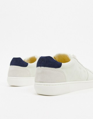 Toms leandro leather trainer in stone