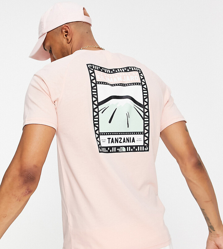 The North Face Faces t-shirt in pink Exclusive at ASOS - ShopStyle