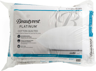 TJMAXX 20X28 2Pk Down Alternative Cotton Quilted Pillows - ShopStyle