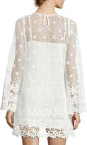 Thumbnail for your product : French Connection Posy Lace Long-Sleeve Flared Dress