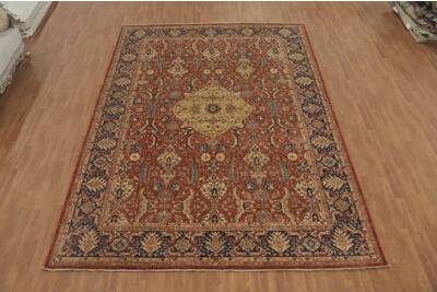 Isabelline Vegetable Dye Traditional Oriental Large Rug 10x14