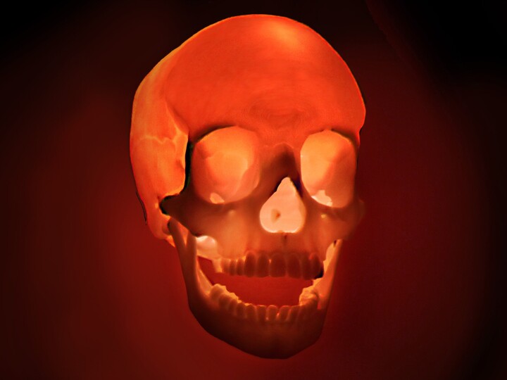 Human Skull - 3D Printed Accent Lamp, Anatomy, Table Novelty Led Light, Ambient Small Decoration Gifts
