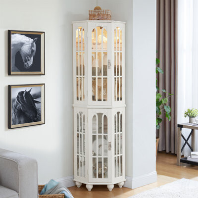 Ophelia & Co. Corner Curio Cabinet With Adjustable Glass Shelves Integrated Lighting And Mirrored Back