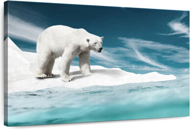 Ebern Designs Brampt Ice Bear