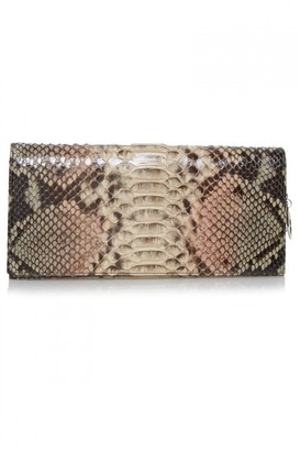 Christian Dior Snakeskin Clutch Bag