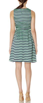 The Limited Striped Fit & Flare Dress