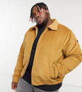 Thumbnail for your product : Le Breve Plus cord bomber jacket in tan