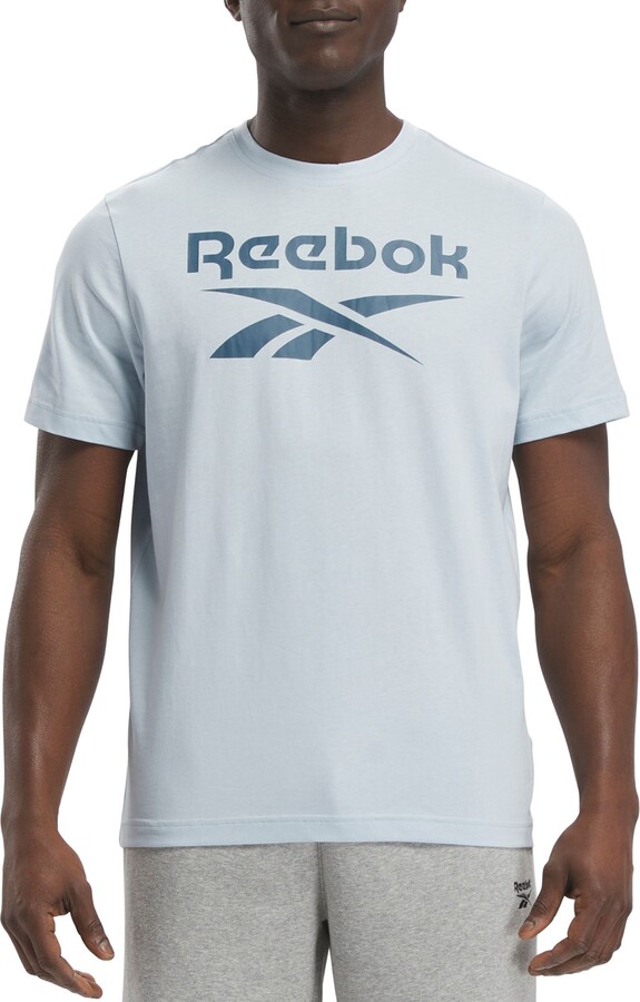 Reebok Men's Identity Big Logo Graphic T-Shirt, Medium, Blue
