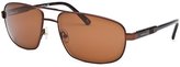 Thumbnail for your product : Carrera Men's Rectangle Brown Sunglasses