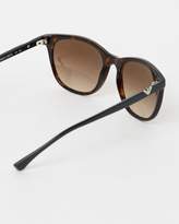 Thumbnail for your product : Emporio Armani Essential Leisure EA4086