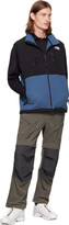 Thumbnail for your product : The North Face Blue Denali Vest