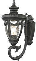 Thumbnail for your product : Anise Small 1-Light Outdoor Wall Sconce