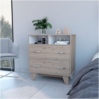 Latitude Run Aaron 2-Drawer 2-Shelf Dresser