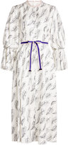 Thumbnail for your product : Roksanda Printed Silk Dress with Belt