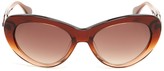 Thumbnail for your product : Just Cavalli Women's Dark Brown Fade Plastic Sunglasses