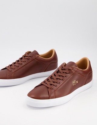 lacoste brown sneakers