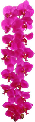 Larksilk 4pcs Fuchsia 49" Phalaenopsis Orchid Stem - 2025 Spring Collection