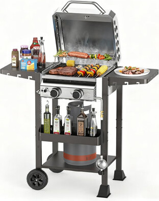 R.W.FLAME 2-Burner 16,000 Btu Portable Propane Bbq Grill - Stainless Steel, W/ Cover, Wheels, Side Shelves & Hooks - For Patio, Garden & Camping