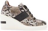 Thumbnail for your product : Linea Paolo Kandis Wedge Sneaker