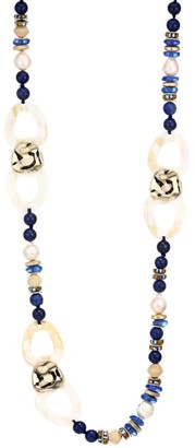 Akola Mixed Gemstone Beads & Horn Link Long Necklace