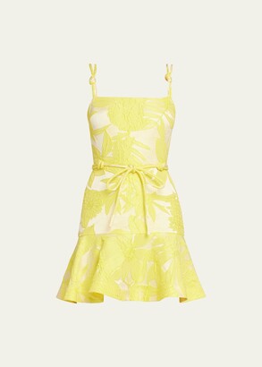 Alexis Alik Textured Floral Jacquard Mini Dress