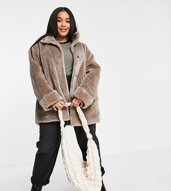 grey coat white fur